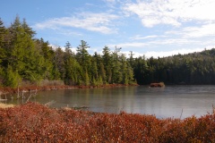 Pond at Sleeping Beauty